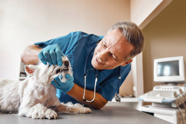 Best Emergency Dentist for Knocked-Out Tooth in Atco, NJ